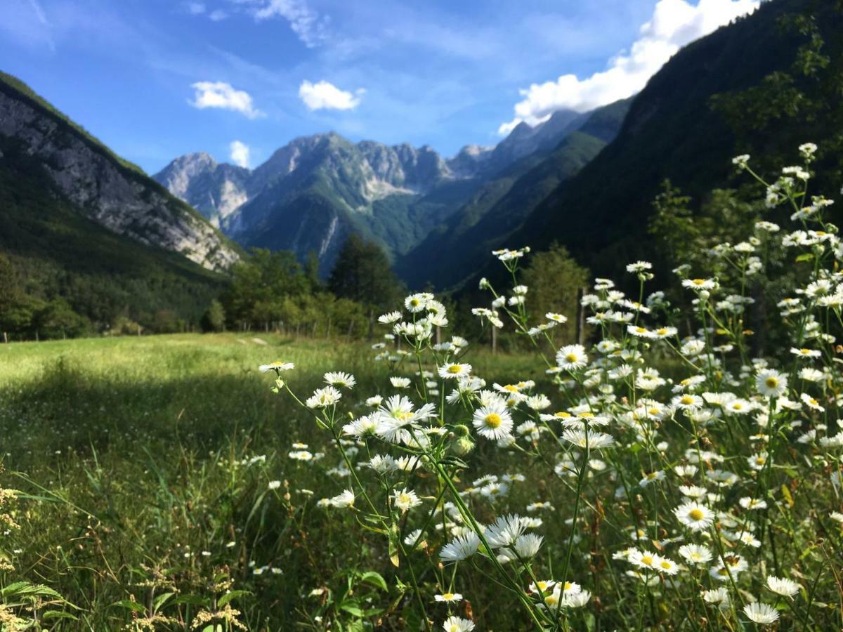 Appartamento Hisa Patricija Soča Esterno foto